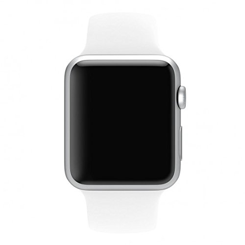 apple smart watch price 500